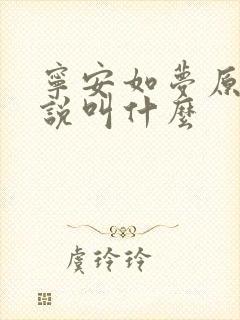 宁安如梦原著小说叫什么