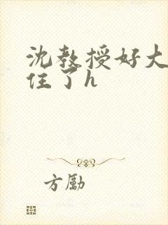 沈教授好大含不住了h