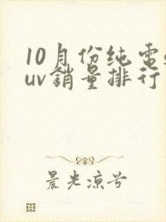 10月份纯电suv销量排行榜最新