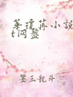 华琼苒小说txt网盘