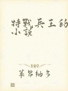 特战兵王的全部小说
