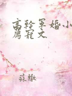 高干军婚小说推荐宠文