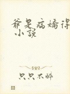 爷是病娇得宠着 小说