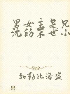 男女主是兄妹姓沈的末世小说