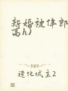 新婚被伴郎c(高h)