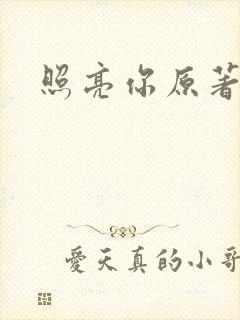 照亮你原著小说