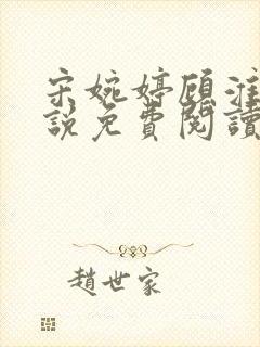 宋婉婷顾淮琛小说免费阅读最新章节