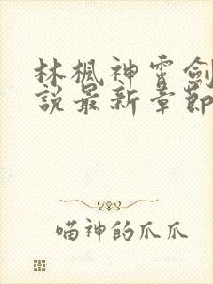 林枫神霄剑修小说最新章节