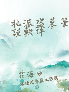 北派盗墓笔记小说软件