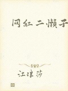 网红二懒子车祸