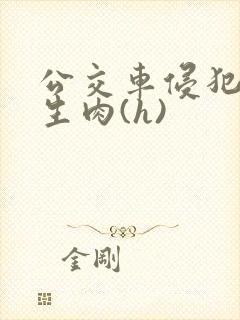 公交车侵犯小男生肉(h)