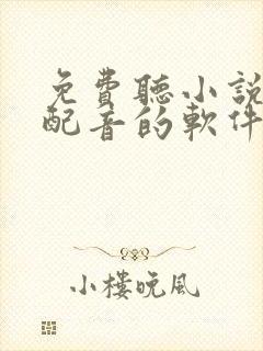 免费听小说真人配音的软件