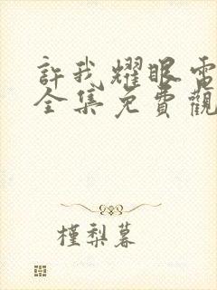 许我耀眼电视剧全集免费观看