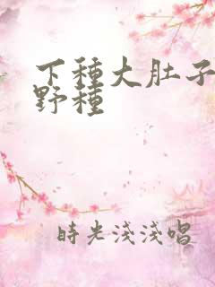 下种大肚子怀孕野种
