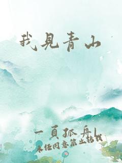 我见青山