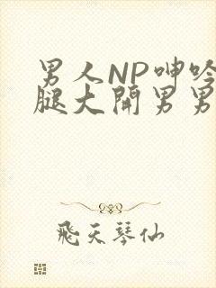 男人NP呻吟双腿大开男男小说