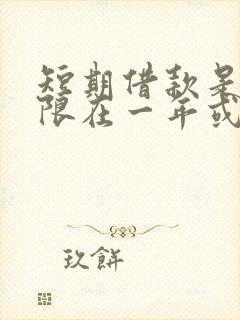 短期借款是指期限在一年或一年以下的借款