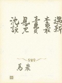 沈见青李遇泽小说免费最新章节阅读