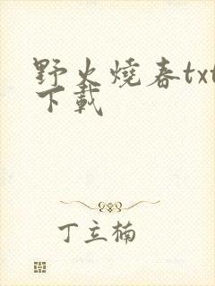 野火烧春txt下载