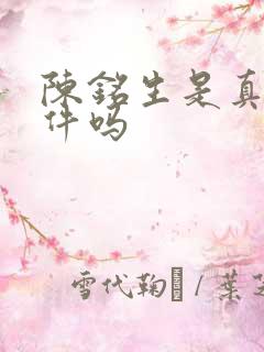 陈铭生是真实事件吗