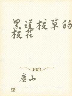 黑道校草的黑道校花