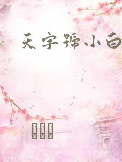 天字号小白脸
