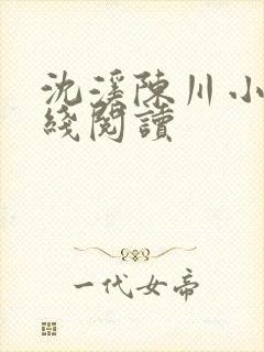 沈溪陈川小说在线阅读