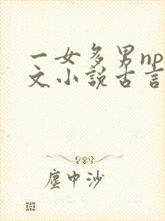 一女多男np辣文小说古言