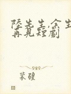 陆先生,余生不再见短剧