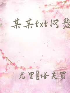某某txt网盘