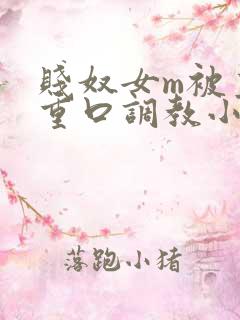 贱奴女m被主人重口调教小说