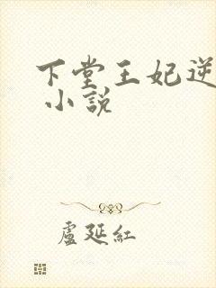 下堂王妃逆袭记 小说
