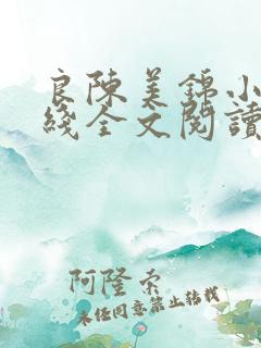 良陈美锦小说在线全文阅读