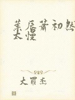 叶辰萧初然更新太慢