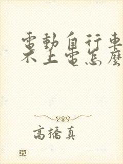 电动自行车车充不上电怎么回事