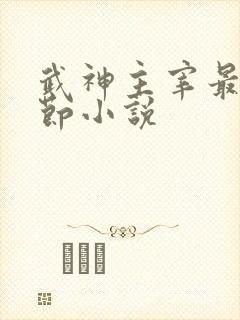 武神主宰最新章节小说