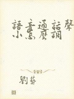 语音通话声音大小怎么调