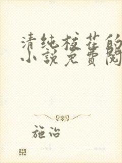 清纯校花的秘密小说免费阅读