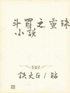 斗罗之灵珠神剑 小说