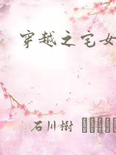 穿越之宅女夫人