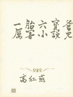 一胎六宝爸比好厉害小说免费阅读