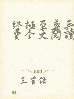 终极至尊兵王免费全文阅读