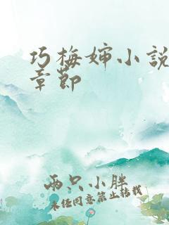 巧梅婶小说最新章节