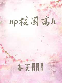 np校园高h