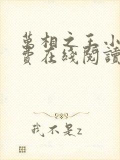 万相之王小说免费在线阅读