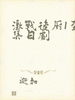 激战后厨1至5集日剧