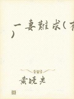 一妻难求(有肉)