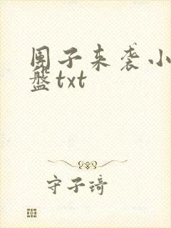 团子来袭小说网盘txt