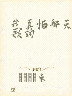 我真怕哪天倒下歌词