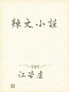辣文小说